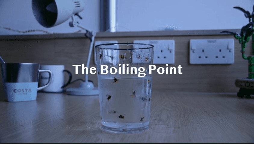 Boiling point — short film about environmental impacts